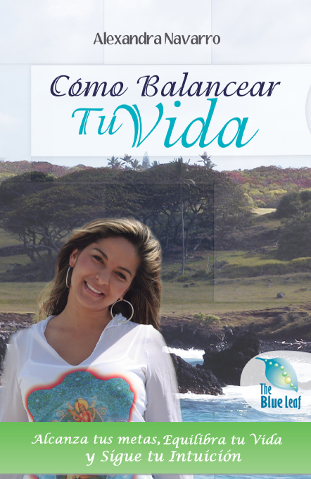 Title details for How To Balance Your Life by Alexandra Navarro - Available